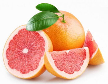 Extrakt z grapefruitu prírodné antibiotikum